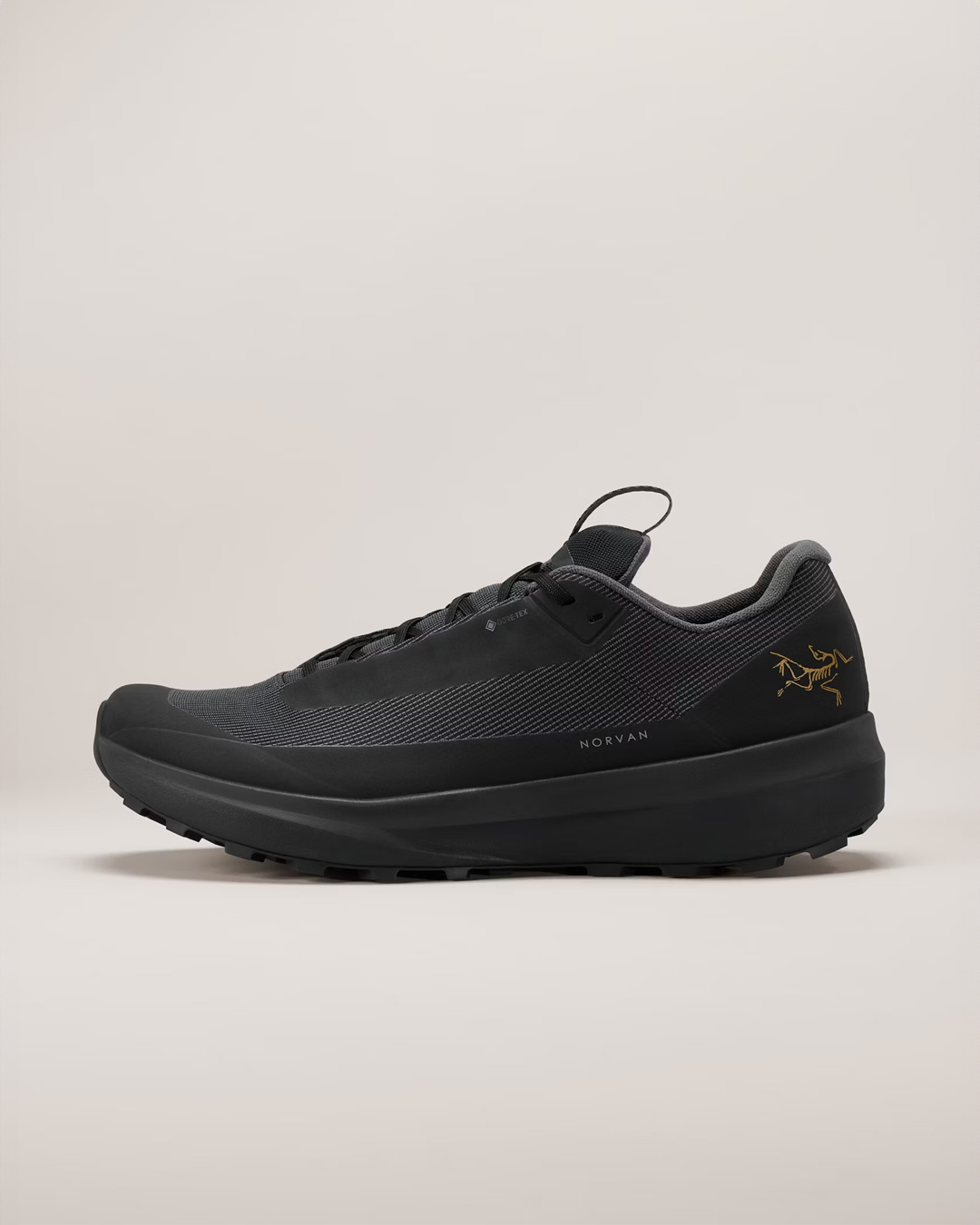 Arc'teryx Men's Norvan LD 4 GTX Trail Running Shoe